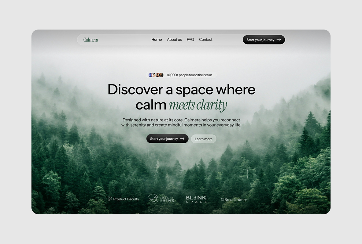 Project screenshot